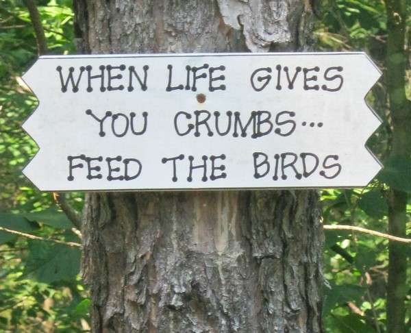 When life gives your crumbs