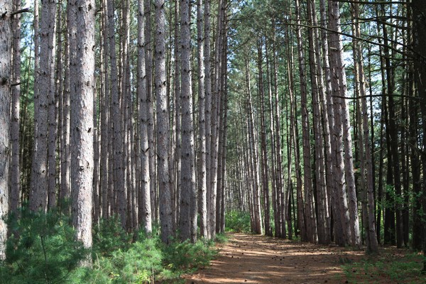 Hiking