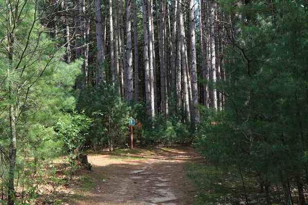 Hiking