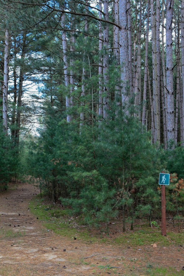 Hiking