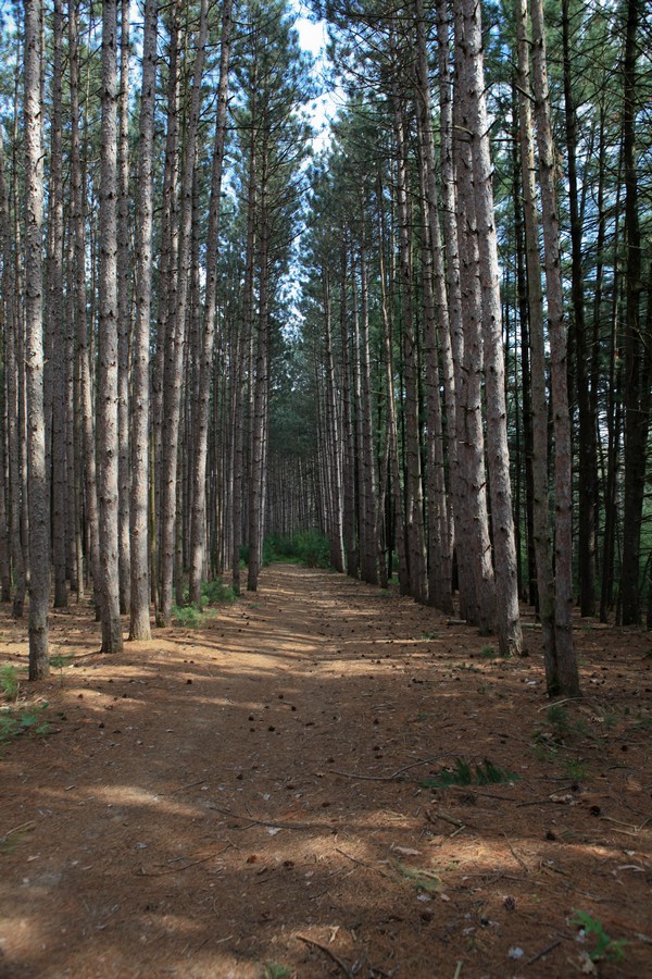 Hiking